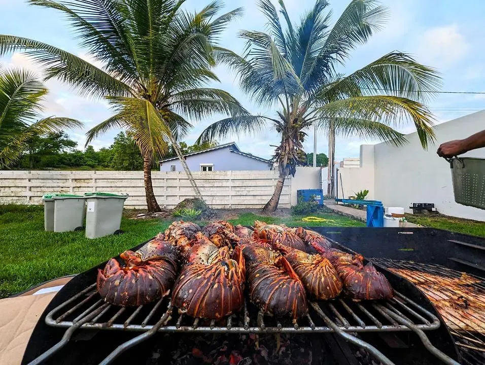 Les Villas De Boisvin Le Moule Guadeloupe