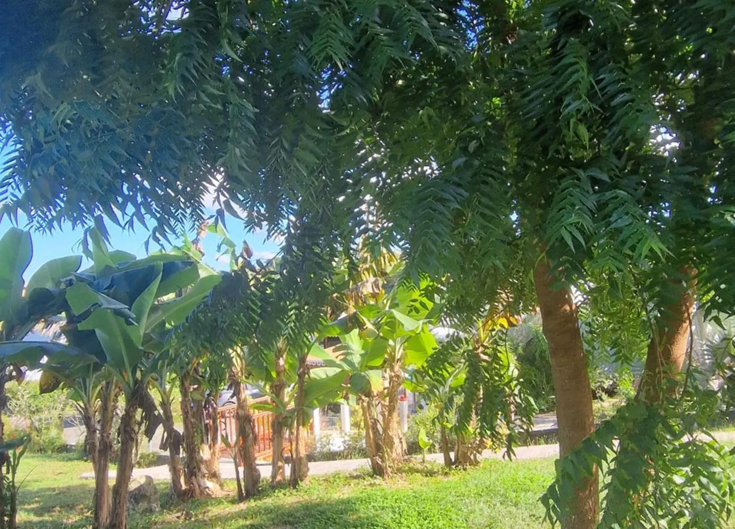 Les Villas De Boisvin Le Moule Guadeloupe
