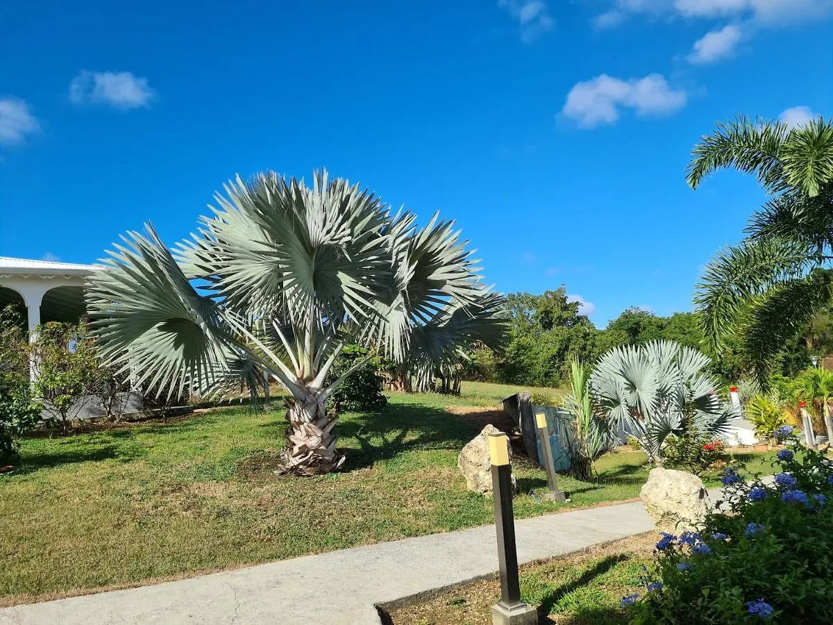 Les Villas De Boisvin Le Moule Guadeloupe