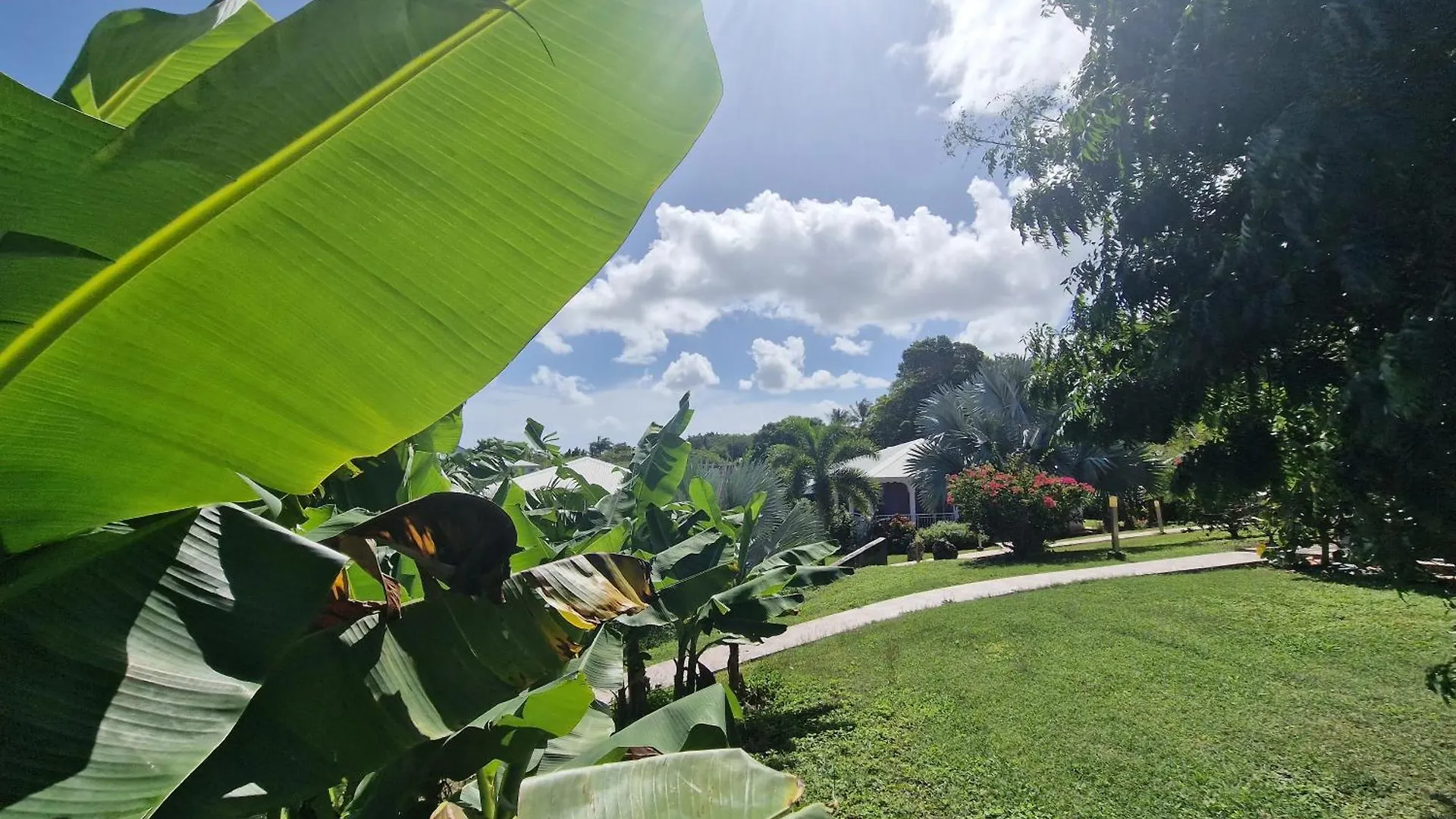 Les Villas De Boisvin Le Moule 0*,  Guadeloupe