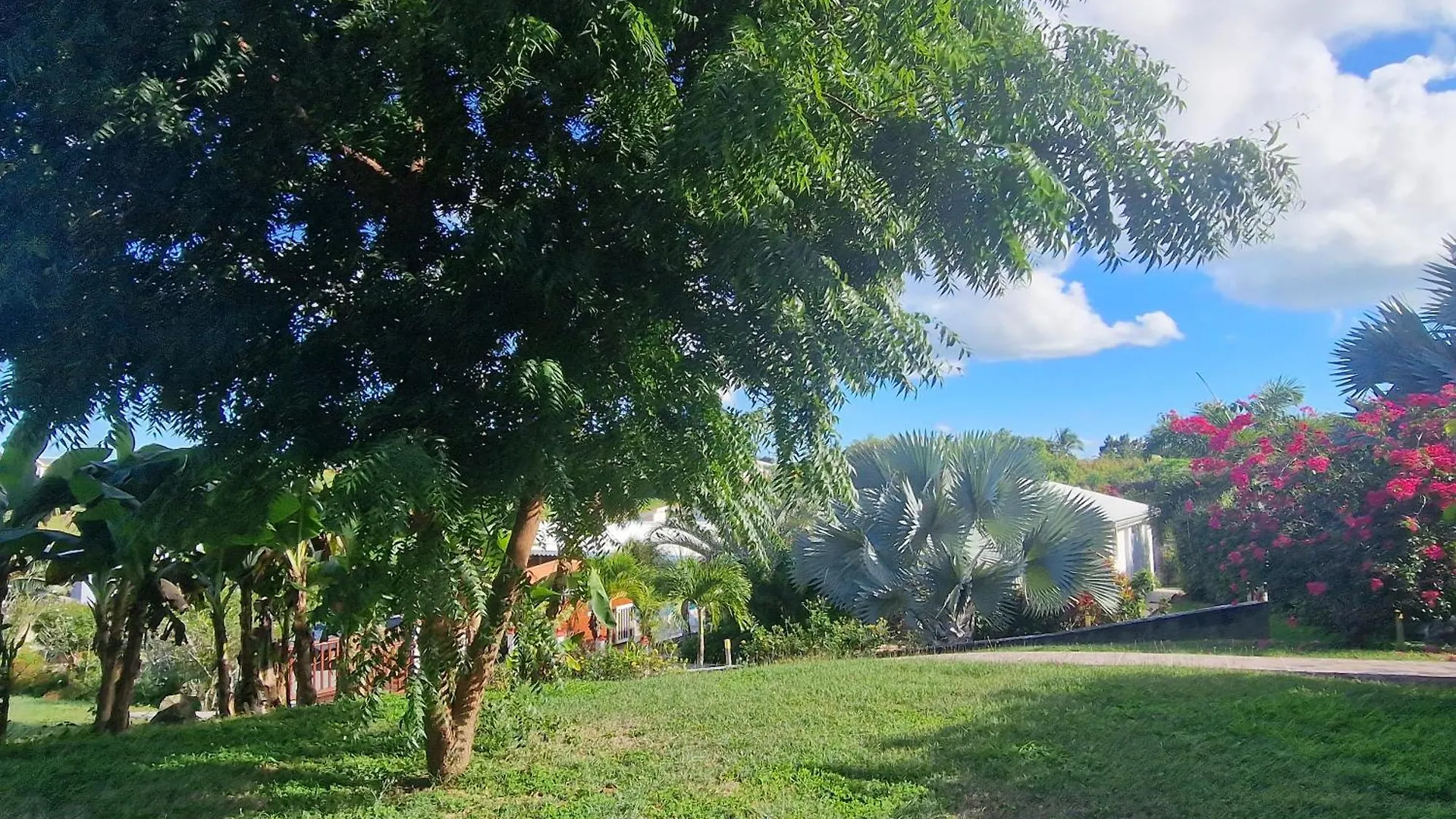 Les Villas De Boisvin Le Moule